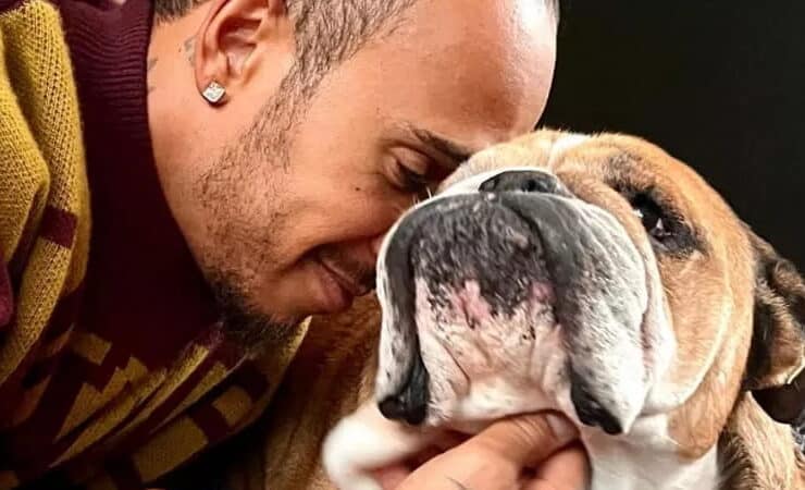 Hamilton e Roscoe